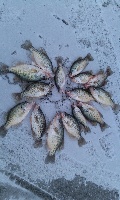 Another Good Day At The Lake  Fishing Report