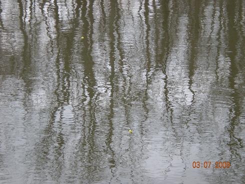 pomme de terre water near Cross Timbers