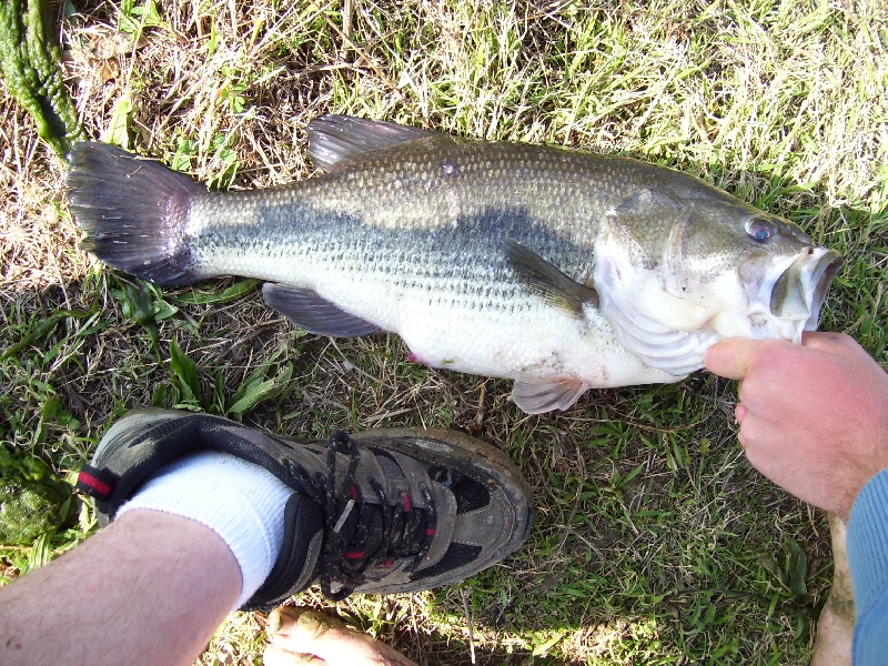 my old record near Shrewsbury