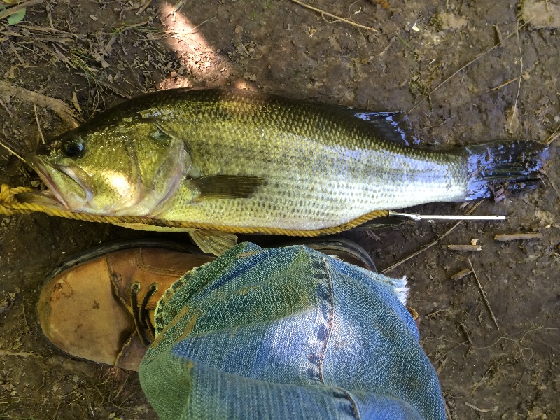 Secret near Portage Des Sioux