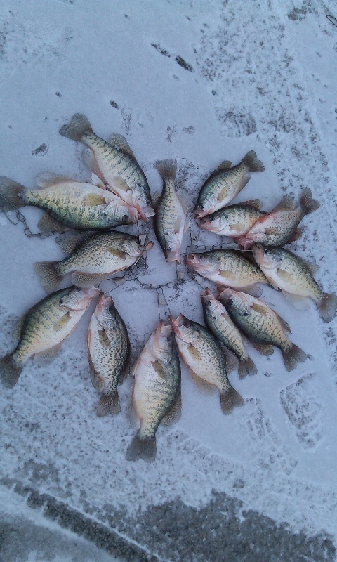 Chilhowee fishing photo 4