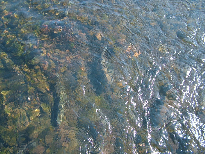 Lake Taneycomo near Shell Knob