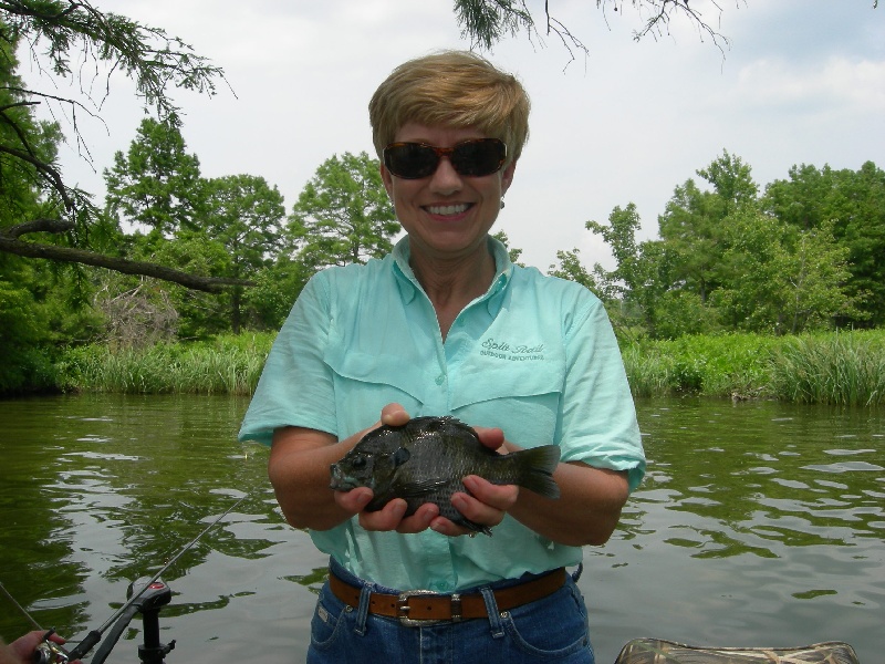 Reelfoot Bluegills near North Lilbourn