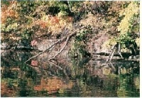 Weldon Steiner Reservoir(vandiala Reservior)